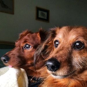 Meet your Posher, Deborah